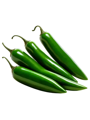 serrano peppers,chilli pods,green bell peppers,green paprika,bellpepper,patrol,okra,jalapenos,green pepper,pea,green bell pepper,asparagales,fragrant peas,asparagaceae,bell peppers,spring onion,cornichons,green beans,cucumbers,poblano,Illustration,American Style,American Style 11