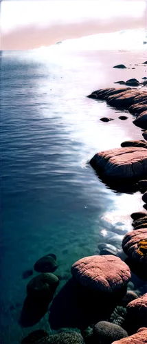 calm ocean, transparent background, vast blue waters, sunlight reflection, gentle waves, rocky shore, seaweed-covered stones, misty atmosphere, 3/4 composition, soft focus, warm color tone, cinematic 