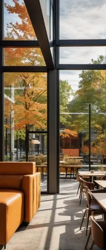 macalester,schulich,jadwin,kansai university,aschaffenburger,njitap,kripalu,autumn in japan,hallward,lunchroom,ubc,daylighting,maple shadow,corten steel,maple leave,snohetta,kaist,japanese restaurant,neutra,langara,Illustration,American Style,American Style 11