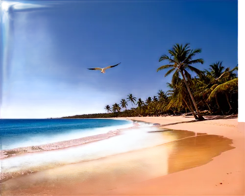 beach landscape,tropical beach,caribbean beach,beach scenery,dream beach,tobago,paradise beach,tropical sea,lakshadweep,beach background,white sandy beach,beautiful beach,caribbean,brazilian beach,cuba beach,beautiful beaches,caribbean sea,white sand beach,sunrise beach,caribe,Art,Artistic Painting,Artistic Painting 47