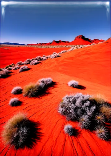 dune landscape,desert desert landscape,desert landscape,capture desert,namib desert,desert planet,arid landscape,desert background,namib,flowerful desert,gobi desert,sandplains,desert,dunes,desert coral,desert plants,sand dunes,crescent dunes,desert plant,libyan desert,Illustration,Abstract Fantasy,Abstract Fantasy 01