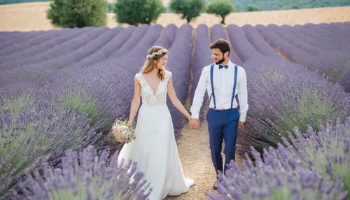 A romantic wedding in the lavender fields in Provence - Atelier Capucine - Floral designer Provence - Fine art wedding,lavender fields,lavender field,lavender cultivation,lavandula,the lavender flower