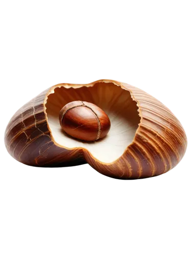 wooden bowl,bowl of chestnuts,singing bowl massage,sea shell,wooden spinning top,calabash,singing bowl,agate carnelian,bossche bol,agate,coconut shell,serving bowl,tibetan bowl,spiny sea shell,two-handled sauceboat,clam shell,wooden plate,baltic clam,beach shell,soap dish,Illustration,Abstract Fantasy,Abstract Fantasy 02