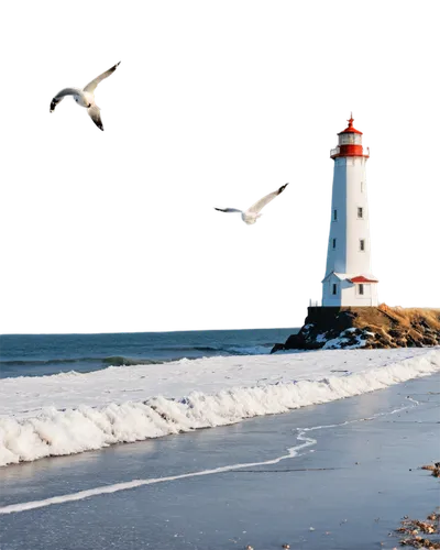 Winter beach scene, snowy shore, frozen waves, icy sea spray, frosty air, pale blue sky, seagulls flying overhead, distant lighthouse, warm lighting, low-angle shot, cinematic composition, soft focus,