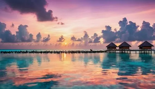 over water bungalows,maldive,maldives,maldive islands,over water bungalow,floating huts,belize,maldives mvr,french polynesia,atolls,bora bora,dream beach,stilt houses,overwater,windows wallpaper,cayard,maldivian,caribbean beach,beautiful beaches,honeymoons,Photography,Artistic Photography,Artistic Photography 07