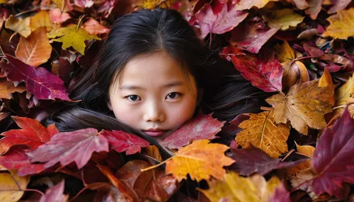 Nezuko hiding playfully behind a pile of colorful autumn leaves,autumn photo session,autumn background,falling on leaves,autumn leaves,fallen leaves,autumnal leaves,fall,autumn icon,in the autumn,autu