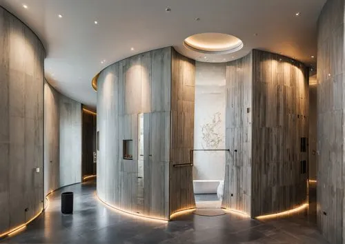 luxury bathroom,interior modern design,luxury home interior,hallway space,modern minimalist bathroom,contemporary decor,washroom,barrooms,metallic door,modern decor,washrooms,interior design,penthouses,bath room,hammam,architraves,amanresorts,entryways,hallway,associati,Photography,General,Natural