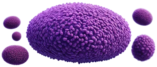 vesicles,spherules,microvesicles,cell structure,microspheres,micelles,methanococcus,deinococcus,ovules,liposomes,micrococcus,vesicular,staphylococcus,meningococcus,liposome,streptococcus,vesicle,echinococcus,stemcell,intercellular,Illustration,Abstract Fantasy,Abstract Fantasy 22