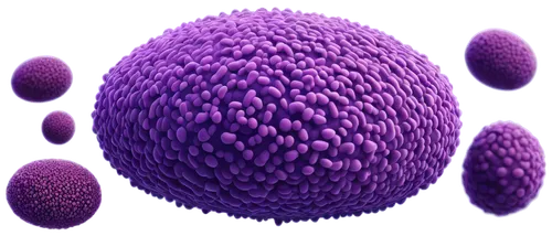 Microscopic, spherical bacteria, cocci shape, purple stain, transparent background, high magnification, detailed texture, 3D illustration, soft lighting, cinematic composition, warm color tone, shallo