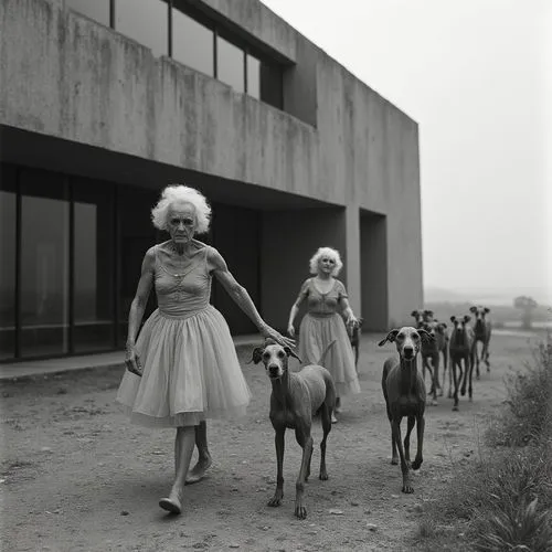 winogrand,little girls walking,erwitt,centaurs,model years 1958 to 1967,harmlessness