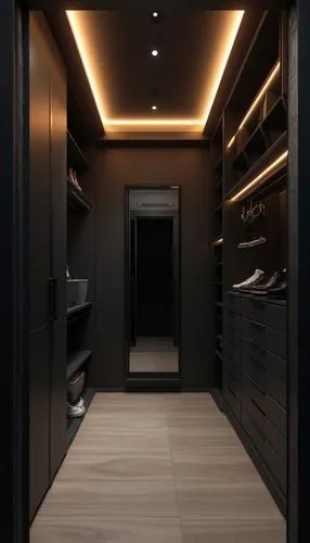 walk-in closet,dark cabinetry,hallway space,closets,wardrobes,mudroom,closet,hallway,dark cabinets,pantry,cabinetry,lockers,3d rendering,gaggenau,humidor,wardrobe,cupboard,luxury bathroom,cabinets,render