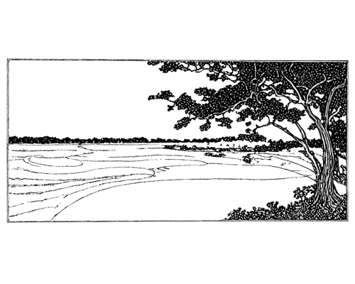 framebuffer,scanline,luminol,phosphorescence,anaglyph,underexplored,generated,idv,lcd,spectrogram,amoled,dithered,noctilucent,dither,lightcurve,spectrograph,underexploited,glsl,frameshift,diffracted,Illustration,Black and White,Black and White 24