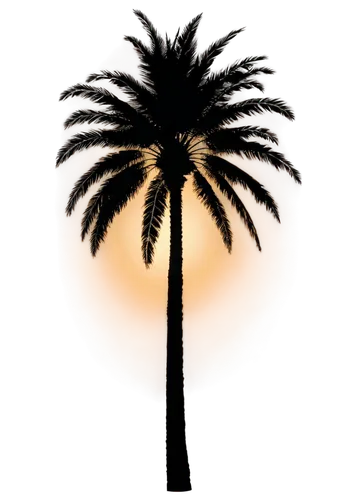 palm tree vector,palm tree silhouette,palm tree,palmtree,palm silhouettes,date palms,palm,cartoon palm,coconut palm tree,date palm,desert palm,palms,palmtrees,easter palm,wine palm,peach palm,fan palm,two palms,giant palm tree,coconut tree,Illustration,Abstract Fantasy,Abstract Fantasy 09