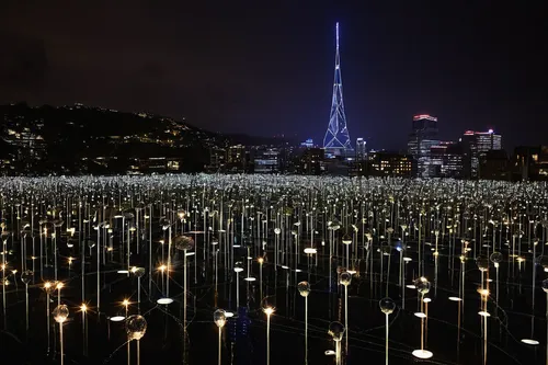 tribute in lights,lotte world tower,namsan,namsan mountain,tribute in light,heart of love river in kaohsiung,hong kong,chongqing,japan's three great night views,taipei 101,taipei,south korea,busan night scene,sky tree,sejong-ro,busan,environmental art,daegu,korea,sewol ferry disaster,Photography,Documentary Photography,Documentary Photography 31