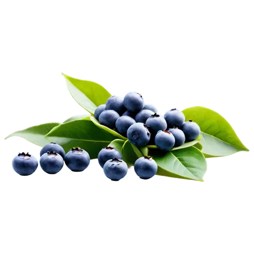 Ripe blueberry, juicy pulp, plump shape, green leaves, wooden table, morning light, soft focus, shallow depth of field, warm color tone, still life composition, cinematic lighting.,blueberries sitting