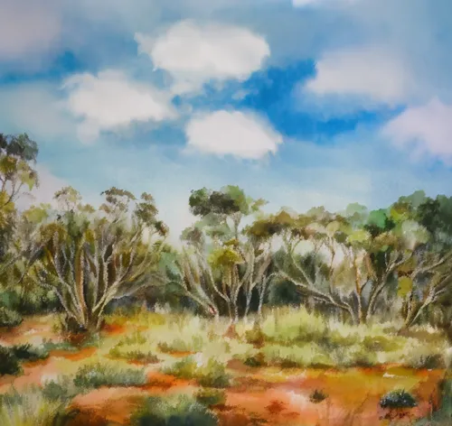 some very pretty trees in a big pretty field,arid landscape,desert landscape,eucalypts,spinifex,scrubland,desert desert landscape