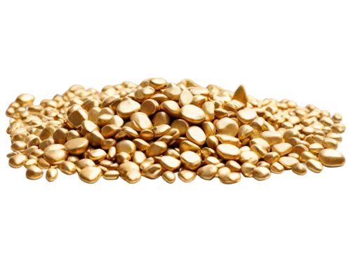 corn kernels,amaranth grain,cereal grain,fenugreek,sorghum,soybean oil,kernels,grains,seed wheat,fregula,triticum durum,khorasan wheat,cowpea,food grain,whole grains,gold bullion,dinkel wheat,yukon gold potato,soybeans,grain ears,Illustration,Vector,Vector 20