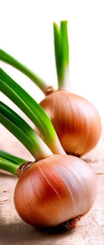 Shallot, bulbous root, brown skin, white flesh, green leaves, delicate texture, organic material, natural light, 3/4 composition, close-up shot, shallow depth of field, warm color tone.,spring onions,