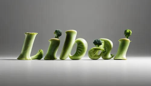 libra,larb,vegetable bile,salad,librarian,typography,salad bar,3d albhabet,shrub celery,salad garnish,leblebi,fiddlehead fern,alphabet letter,leaf vegetable,celery tuber,lalab,decorative letters,veget