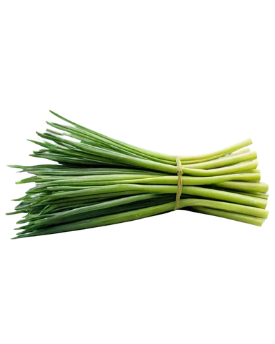 Leek, green vegetable, solo, detailed texture, natural light, 3/4 composition, shallow depth of field, warm color tone, cinematic lighting, slight steam rising, fresh cut, dew droplets, farm-to-table,