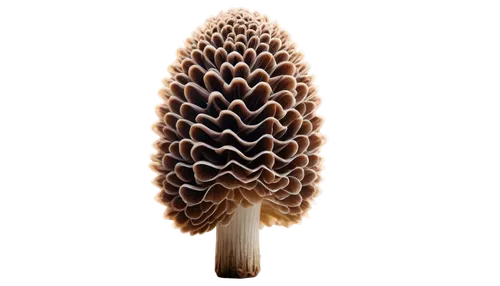 pine cone ornament,conifer cone,fir cone,pine cone,pine cone pattern,pinecone,conifer cones,wiwaxia,pinecones,douglas fir cones,bunya,plescia,banksia,enoki,eubanksia,coprinus,acorn,araucaria,hair brush,cone,Conceptual Art,Sci-Fi,Sci-Fi 20