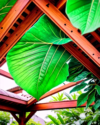 philodendrons,palm leaf,tropical leaf,philodendron,banana leaf,tropical leaf pattern,palm leaves,betel palm,fan palm,canopy,palm fronds,coconut leaf,blue leaf frame,tropical house,canopies,banana tree,banana flower,jungle drum leaves,leaf structure,banana trees,Conceptual Art,Sci-Fi,Sci-Fi 28