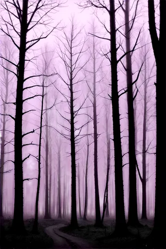 foggy forest,purple landscape,haunted forest,foggy landscape,purple wallpaper,forest dark,forest road,pale purple,forest background,winter forest,forest of dreams,the purple-and-white,purple gradient,halloween bare trees,forest landscape,purpleabstract,the forest,forest path,forest,purple,Illustration,Paper based,Paper Based 29