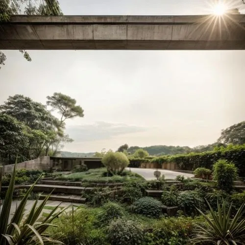 a view of a garden from below a bridge,royal botanic garden,landscape design sydney,landscape designers sydney,ibirapuera,fordlandia,macritchie