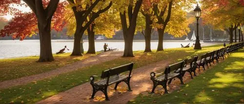 park bench,autumn in the park,autumn park,autumn scenery,autumn background,benches,row of trees,red bench,bench,autumn day,one autumn afternoon,golden autumn,autumn trees,chinar,autumn idyll,the autumn,just autumn,autumn morning,the trees in the fall,wooden bench,Conceptual Art,Daily,Daily 13