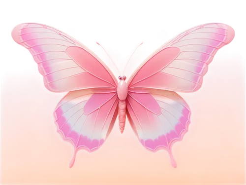 pink butterfly,butterfly vector,butterfly background,butterfly clip art,cupido (butterfly),limenitis,hesperia (butterfly),flutter,pink vector,butterflay,breast cancer ribbon,butterfly,papillon,butterfly isolated,pink background,c butterfly,vanessa (butterfly),pink floral background,isolated butterfly,pink ribbon,Illustration,Japanese style,Japanese Style 02