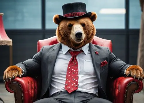 bearman,bearshare,bearmanor,bear market,suiter,bearlike,Photography,General,Cinematic