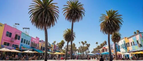 Los Angeles, Southern California, sunny day, palm trees, urban cityscape, skyscrapers, busy streets, cars driving by, pedestrians walking, streetlights, graffiti on walls, colorful murals, trendy fash