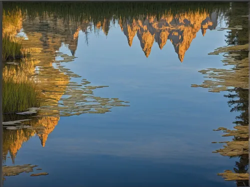 reflections in water,vermilion lakes,reflection of the surface of the water,reflection in water,water reflection,freshwater marsh,tidal marsh,salt marsh,swampy landscape,reflected,mirror water,wetlands,reflections,ripples,water mirror,mirror reflection,aquatic plants,wetland,reflecting pool,reflection,Illustration,Black and White,Black and White 32