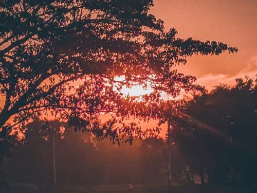 ektachrome,orange sky,helios 44m7,postprocessing,red sun,setting sun,sunrise,helios 44m,madikeri,sunamganj,sunset,sunsets,vignetting,sunset glow,lens flare,lightroom,durgapur,unset,pirojpur,sunrises