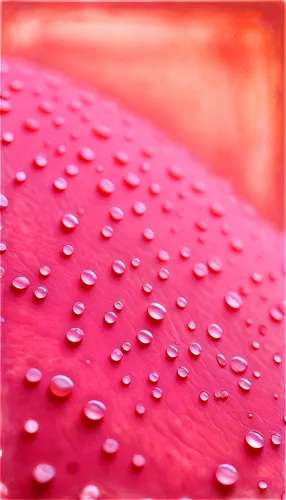 droplets,rain droplets,dew droplets,water droplets,hydrophobicity,dewdrops,hydrophobic,waterdrops,droplet,droplets of water,water drops,superhydrophobic,drops,rainwater drops,drops of water,rain drops,bowl of fruit in rain,drops on the body,raindrops,dew drops,Illustration,Abstract Fantasy,Abstract Fantasy 13