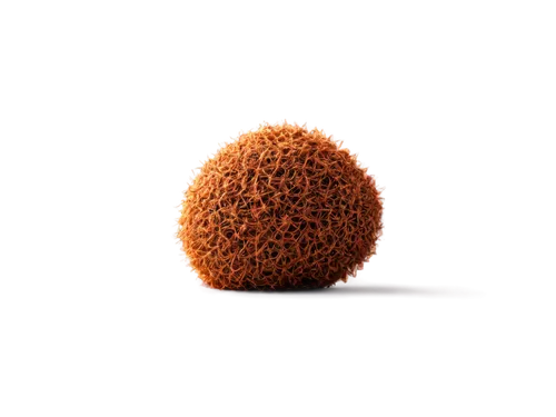 spherules,ovule,nanoparticle,globular,spheroids,cinema 4d,vesicular,vesicles,vesicle,blastocyst,lycoperdon,nanoparticles,microvesicles,volumetric,adipocyte,microspheres,spheroidal,acorn,ellipsoids,eosinophil,Art,Classical Oil Painting,Classical Oil Painting 04