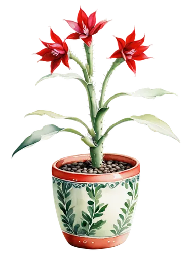 potted plant,flowers png,adenium,terracotta flower pot,potted flowers,flowerpot,flower pot,succulent in dark red pot,impala lily,polka plant,xmas plant,christmas flower,mixed cup plant,red flower,pot plant,container plant,kalanchoe,garden pot,ikebana,flower background,Illustration,Paper based,Paper Based 24