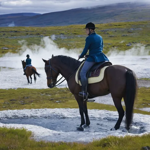 The Golden Circle Day Tour | With Horse Riding in a Geothermal Area,iceland horse,endurance riding,icelandic horse,cross-country equestrianism,icelanders,galloping,horseback,riding instructor,horse ri