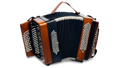 diatonic button accordion,bandoneon,button accordion,accordion,accordion player,squeezebox,accordionist,autoharp,concertina,musical instrument accessory,string instrument accessory,panpipe,pan flute,gig bag,dhol,charango,folk instrument,melodica,djembe,carry-on bag,Conceptual Art,Fantasy,Fantasy 18