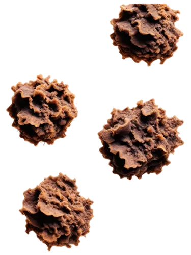 spherules,polyomavirus,deinococcus,methanococcus,vesicular,cryptococcus,vesicles,adenovirus,microvesicles,meningococcus,cytomegalovirus,hepatocyte,pneumococcus,micrococcus,cocci,echinococcus,nanoparticles,reovirus,nanoparticle,pneumococci,Illustration,Vector,Vector 02