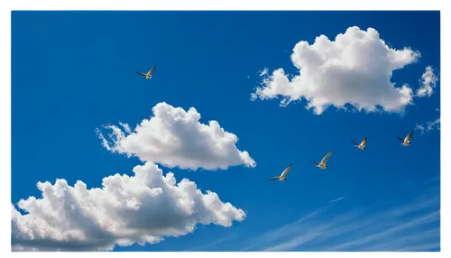 cloud image,cloud play,clouds - sky,cloud shape frame,blue sky clouds,blue sky and clouds,cumulus clouds,cumulus cloud,cloud formation,about clouds,cloud computing,blue sky and white clouds,cumulus,birds flying,hot-air-balloon-valley-sky,sky clouds,birds in flight,bird in the sky,cumulus nimbus,paragliders duo blue sky cloudy,Photography,Fashion Photography,Fashion Photography 09