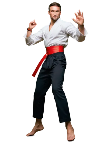 nidan,karateka,karate,xingyiquan,kempo,karatekas,kyokushin,taijiquan,martial arts,buchardkai,hapkido,cejudo,jitsu,shihan,kenpo,gatame,siam fighter,katas,baguazhang,jkd,Illustration,Realistic Fantasy,Realistic Fantasy 28