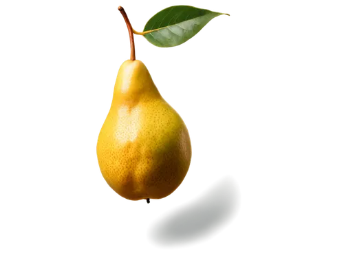 Ripe pear, solo, golden yellow skin, slight shine, green leaf attached, stem visible, soft natural light, 3/4 composition, shallow depth of field, warm color tone, cinematic lighting, detailed texture