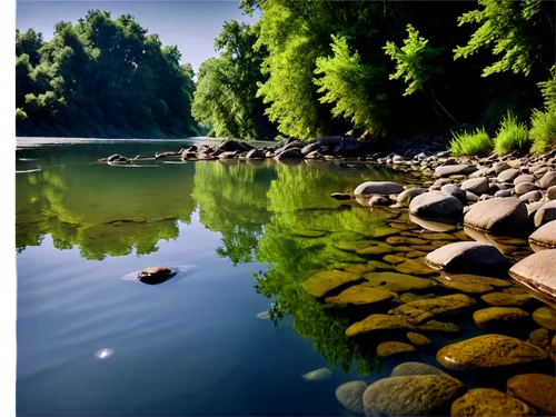 nature background,background view nature,river landscape,landscape background,river bank,waterscape,water scape,reflections in water,a river,polarizer,jezero,riverbank,river,green trees with water,calm water,drina,reflection in water,streamside,water mirror,drava,Conceptual Art,Graffiti Art,Graffiti Art 03