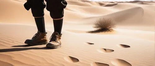 desert run,admer dune,capture desert,desertlike,sahara desert,sahara,desert,semidesert,deserticola,libyan desert,desertified,arrakis,desert background,dune,desertification,deserto,sand road,the desert,deserting,sandboarding,Illustration,Realistic Fantasy,Realistic Fantasy 23