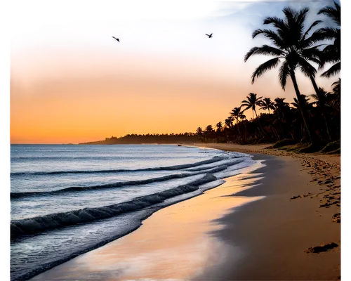 beach landscape,sunrise beach,sunset beach,beach scenery,tropical beach,dream beach,beautiful beaches,beautiful beach,tropical sea,paradises,caribbean beach,paradise beach,beach background,coconut trees,mazatlan,brazilian beach,caribe,dark beach,coconut palms,cuba beach,Conceptual Art,Sci-Fi,Sci-Fi 08