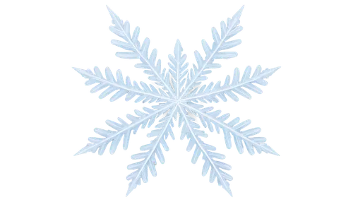 snowflake background,christmas snowflake banner,blue snowflake,snow flake,snowflake,white snowflake,ice crystal,gold foil snowflake,snowflakes,wreath vector,summer snowflake,christmas tree pattern,snowflake cookies,christmas pattern,heracleum (plant),red snowflake,winter aster,fire flakes,weather icon,christmas motif,Art,Classical Oil Painting,Classical Oil Painting 39