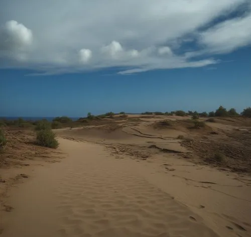 a sandy beach with sand dunes, clouds and shrubs,maspalomas,san dunes,the sand dunes,sand dunes,sand dune,dunes,Photography,General,Realistic