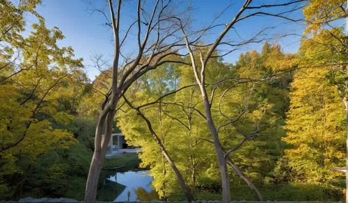 The frame is a stunning display of a large, rectangular block in the shape of a pillar, surrounded by vibrant stonework. The structure elongates upon a serene pond, its smooth surface glinting in the 