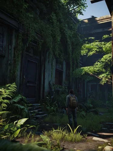 croft,wander,undergrowth,poison plant in 2018,jungle,old linden alley,overgrown,lostplace,screenshot,redwood,lost place,witcher,wooden path,fable,pathway,farmstead,the forest,devilwood,giant goldenrod,the path,Photography,Fashion Photography,Fashion Photography 05